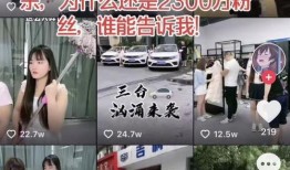 西泽直播爆料最新消息视频,揭秘热点事件幕后真相