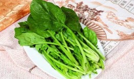 菠菜最新爆料,揭秘娱乐圈惊人内幕